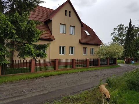 Property building, Facade/entrance, Garden, Pets