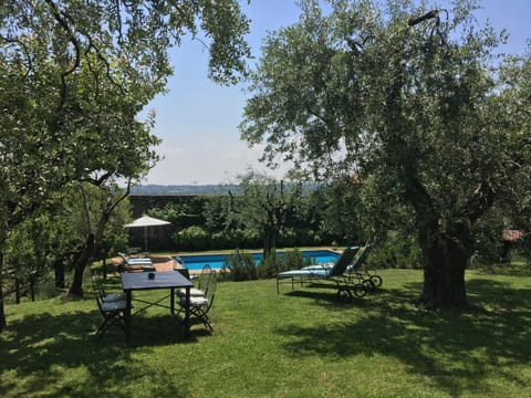 Garden, Swimming pool