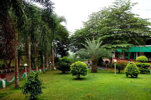 Day, Natural landscape, Garden, Garden, Garden view