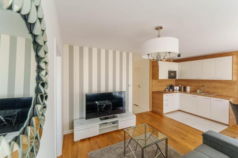 TV and multimedia, Kitchen or kitchenette, Living room, Seating area, pet friendly, stove