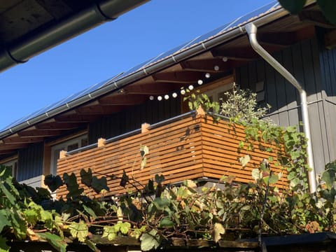 Apartment Schellenberg 20 Apartment in Salzburgerland