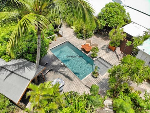 Day, Natural landscape, Bird's eye view, Garden, View (from property/room), Swimming pool, sunbed