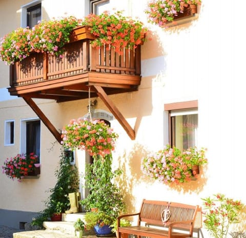 Property building, Patio, Facade/entrance