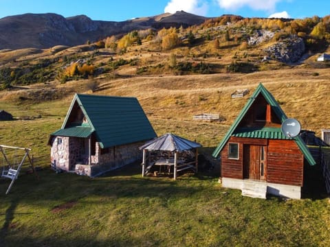 Forest fruit Jelovica Apartment in Montenegro