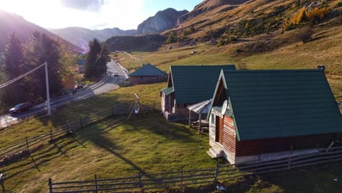 Forest fruit Jelovica Apartment in Montenegro