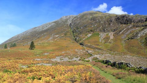 Rowan Tree Lodge House in Scotland