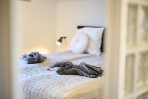 Villa Cecha B&b &Wellness Bed and Breakfast in Ostend