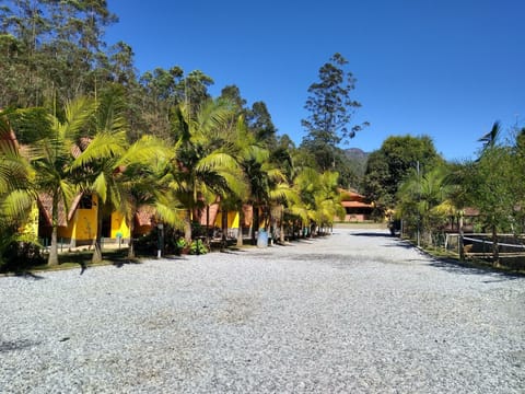 Patio, Natural landscape, Garden, Balcony/Terrace
