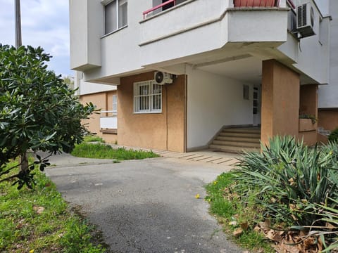Property building, Spring, Neighbourhood, Garden, Garden view, Street view
