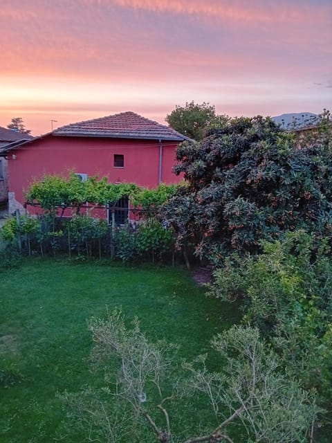 Property view