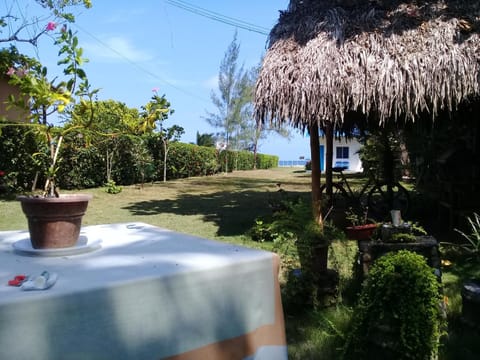 Garden, Garden, Garden view
