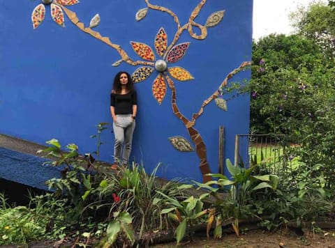 Casinha Azul de Penedo Chalet in Resende