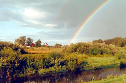 Natural landscape, Area and facilities