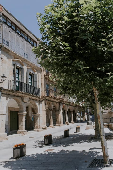 Property building, Facade/entrance, Neighbourhood, Landmark view, Location, Quiet street view