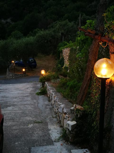 Gli ulivi della Monda House in Finale Ligure