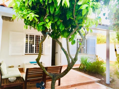 Garden view