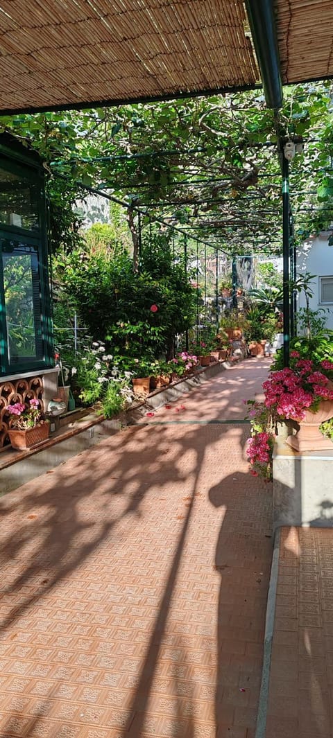 Villa dei fiori B&B Bed and Breakfast in Marina Grande