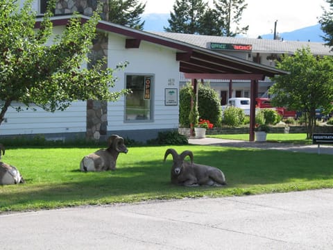 Facade/entrance, Animals