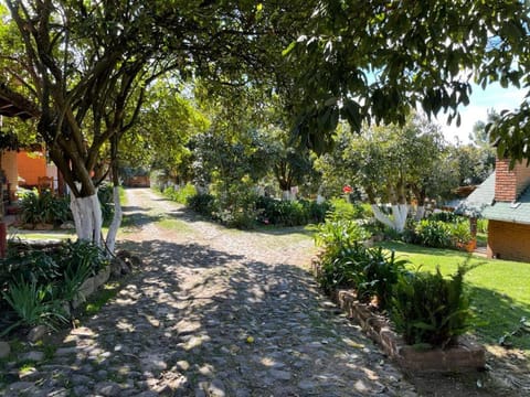 Garden, Garden, Garden view, Garden view