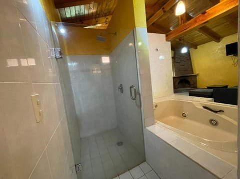 Shower, Hot Tub, flat iron