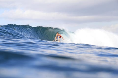 Padi guest house Bed and Breakfast in Blahbatuh