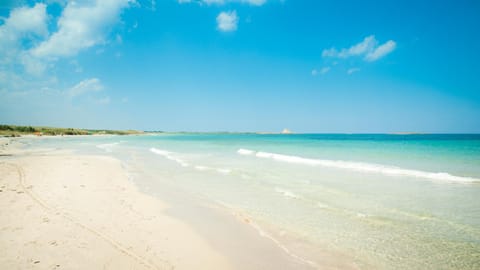 Natural landscape, Beach, Hiking