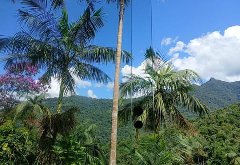 Casa da Floresta Pico da Águia Apartment in State of Rio de Janeiro