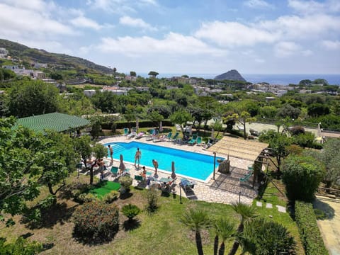 Garden, Pool view, Swimming pool