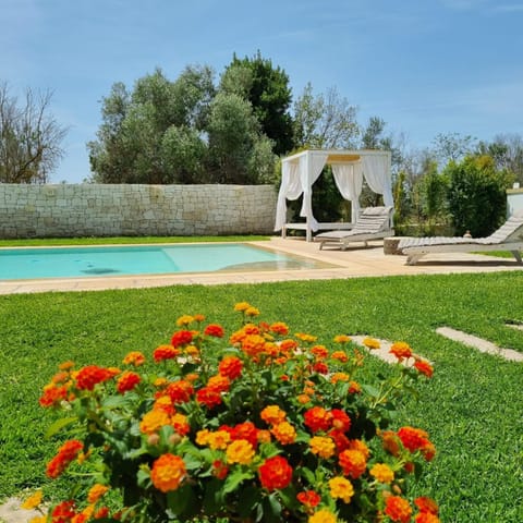 Day, Summer, Garden, Swimming pool, sunbed