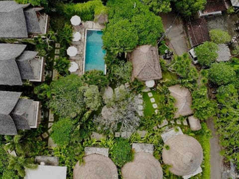 Property building, Bird's eye view, Garden, Garden view, Swimming pool
