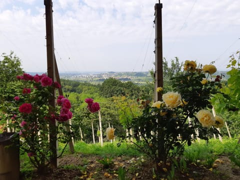 Spring, Day, Natural landscape, Garden, View (from property/room), Balcony/Terrace, On site, City view, Mountain view, Seasons