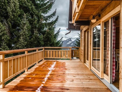 Chalet spacieux pour 15 pers, animaux admis, parking - FR-1-505-75 Chalet in Notre-Dame-de-Bellecombe