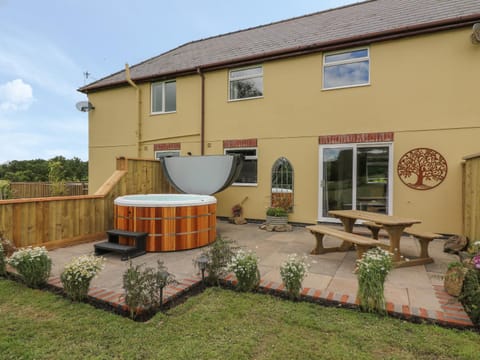 Owl Cottage House in Wales