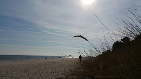 View (from property/room), Beach