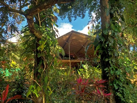 Property building, Facade/entrance, Garden, Garden, Garden view