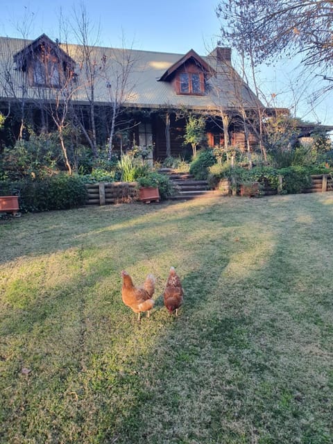 Property building, Garden, Animals
