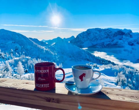 Die Buche Apartment in Friuli-Venezia Giulia