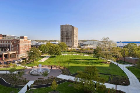 View (from property/room)