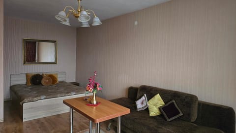 BuTaS TaUrAgEje Apartment in Kaliningrad Oblast, Russia