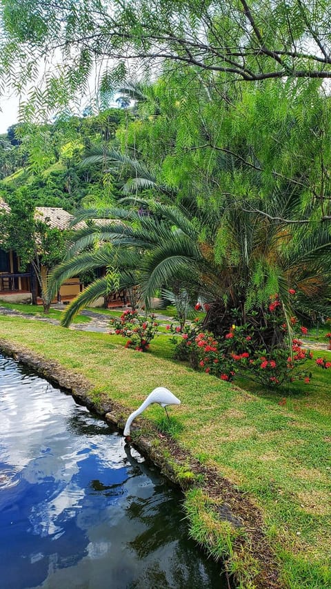 Garden, Garden view, Garden view, Lake view