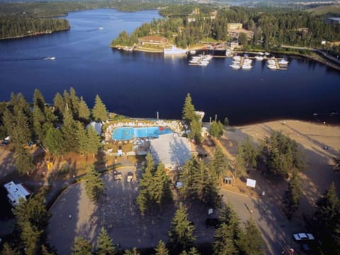 Staff, People, Bird's eye view, Lake view, Family