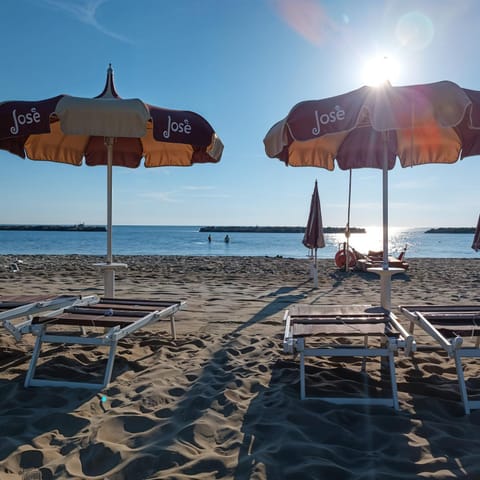 Beach, Area and facilities, sunbed