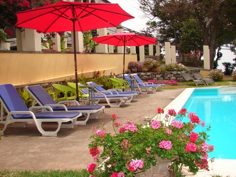 Pool view, Swimming pool, sunbed