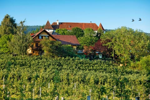 Property building, Natural landscape