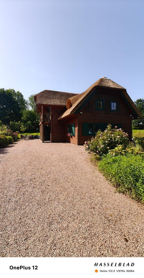 Property building, Garden view