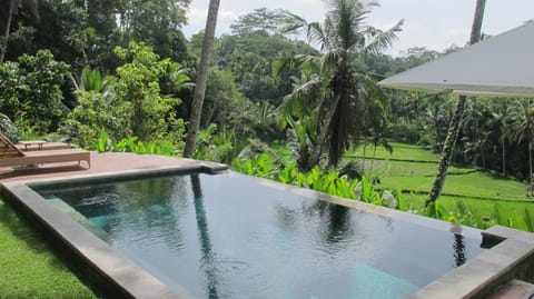 Day, Natural landscape, Garden, Garden view, Pool view, Swimming pool, Swimming pool, sunbed