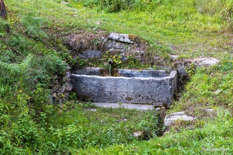 SO MAGIC - La casa nel bosco House in Emilia-Romagna