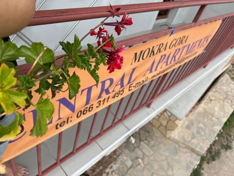 Mokra Gora Central Apartments Apartment in Zlatibor District, Serbia