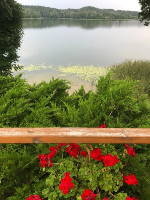 Paukoje Apartamentai Apartment in Vilnius County, Lithuania