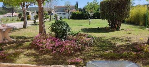 Property building, Garden view